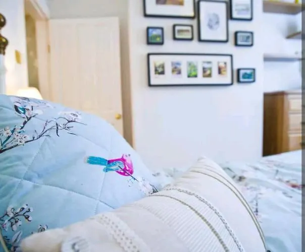 Cosy Little Just Outside Walls Hotel York